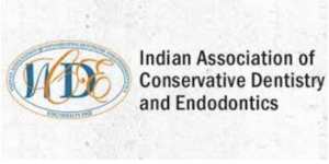 Screenshot 2022-11-16 at 12.52.12 PM